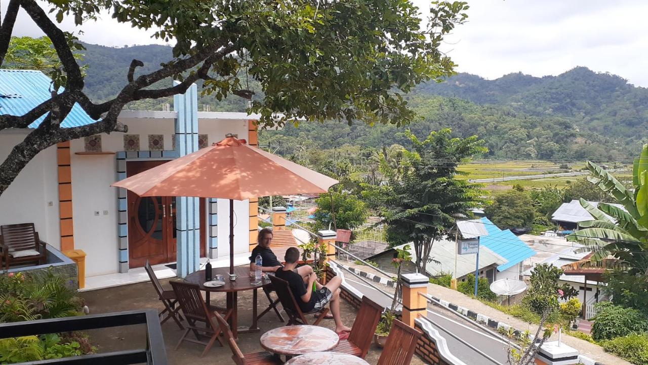 Bintang Bungalow Tour & Travel Vulkan Vulkan Kelimutu Exterior foto